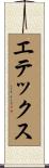 エテックス Scroll