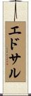 エドサル Scroll