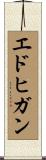 エドヒガン Scroll