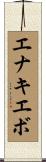 エナキエボ Scroll