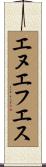 エヌエフエス Scroll