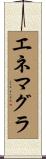 エネマグラ Scroll