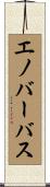 エノバーバス Scroll