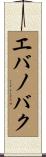 エバノバク Scroll