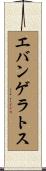 エバンゲラトス Scroll