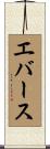 エバース Scroll