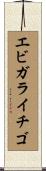 エビガライチゴ Scroll