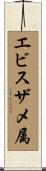 エビスザメ属 Scroll