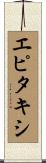 エピタキシ Scroll