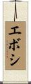 エボシ Scroll