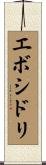 エボシドリ Scroll
