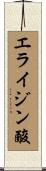 エライジン酸 Scroll