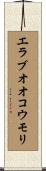 エラブオオコウモリ Scroll