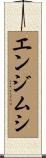 エンジムシ Scroll