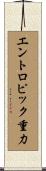 エントロピック重力 Scroll