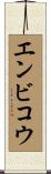 エンビコウ Scroll