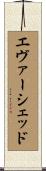 エヴァーシェッド Scroll