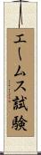エームス試験 Scroll
