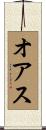 オアス Scroll