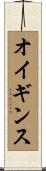 オイギンス Scroll