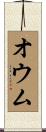 オウム Scroll