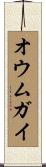 オウムガイ Scroll