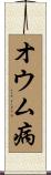 オウム病 Scroll
