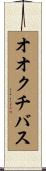 オオクチバス Scroll