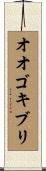 オオゴキブリ Scroll