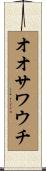 オオサワウチ Scroll