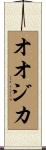 オオジカ Scroll