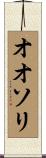 オオソリ Scroll