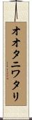 オオタニワタリ Scroll