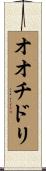 オオチドリ Scroll