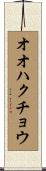 オオハクチョウ Scroll