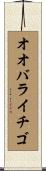 オオバライチゴ Scroll