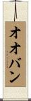 オオバン Scroll