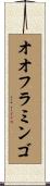 オオフラミンゴ Scroll