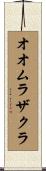 オオムラザクラ Scroll
