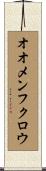 オオメンフクロウ Scroll