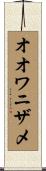 オオワニザメ Scroll