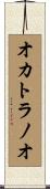オカトラノオ Scroll