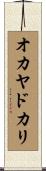 オカヤドカリ Scroll