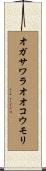 オガサワラオオコウモリ Scroll