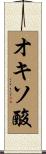 オキソ酸 Scroll