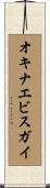 オキナエビスガイ Scroll