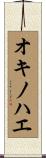 オキノハエ Scroll