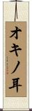 オキノ耳 Scroll