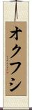 オクフシ Scroll