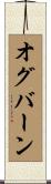オグバーン Scroll